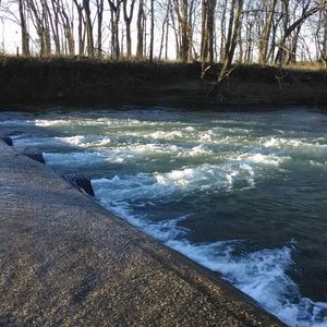 Meet your Posher, Nickie